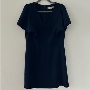 LOFT Navy V-Neck Mini Dress
